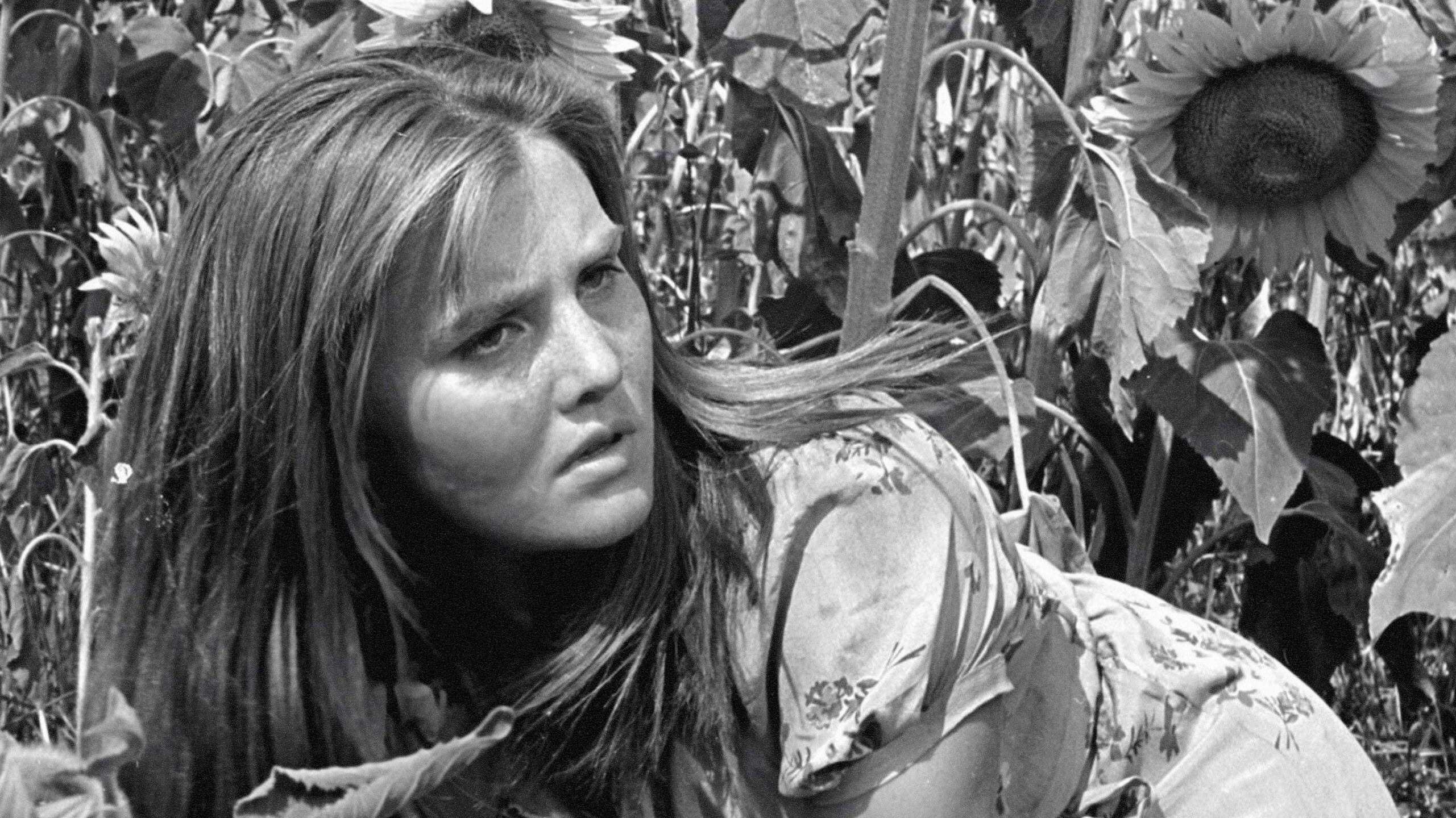 Tấn Công Và Rút Lui Tấn Công Và Rút Lui