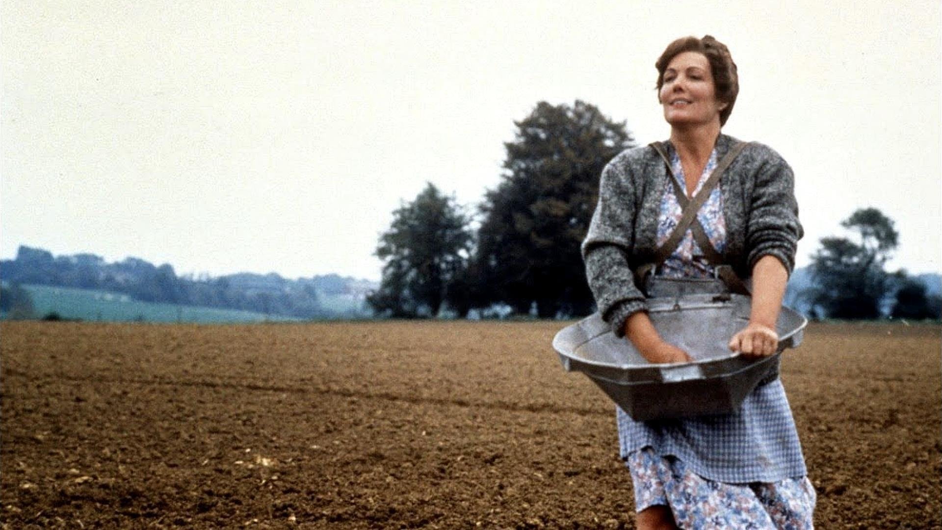 Dòng Antonia Dòng Antonia