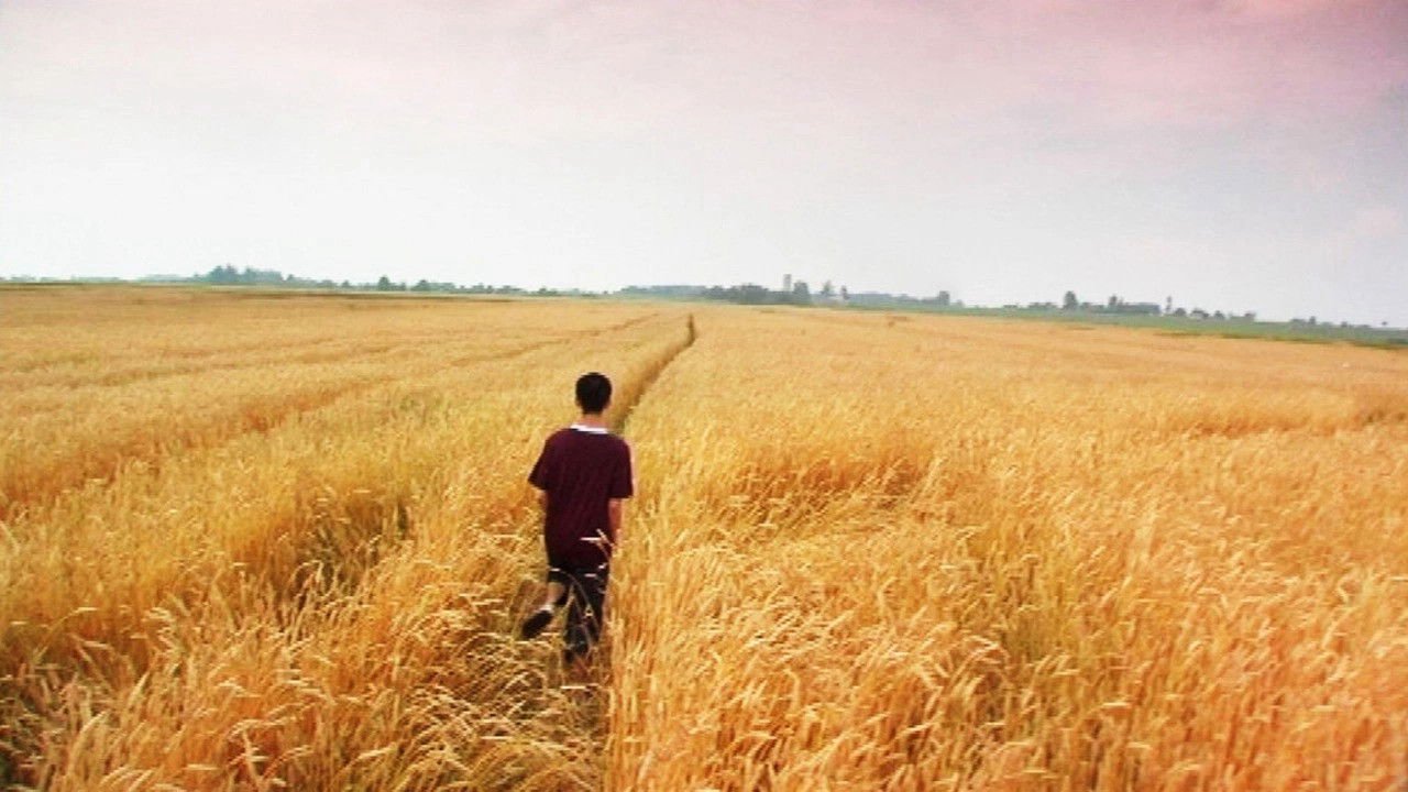 Tôi Chỉ Yêu Người Lạ Tôi Chỉ Yêu Người Lạ