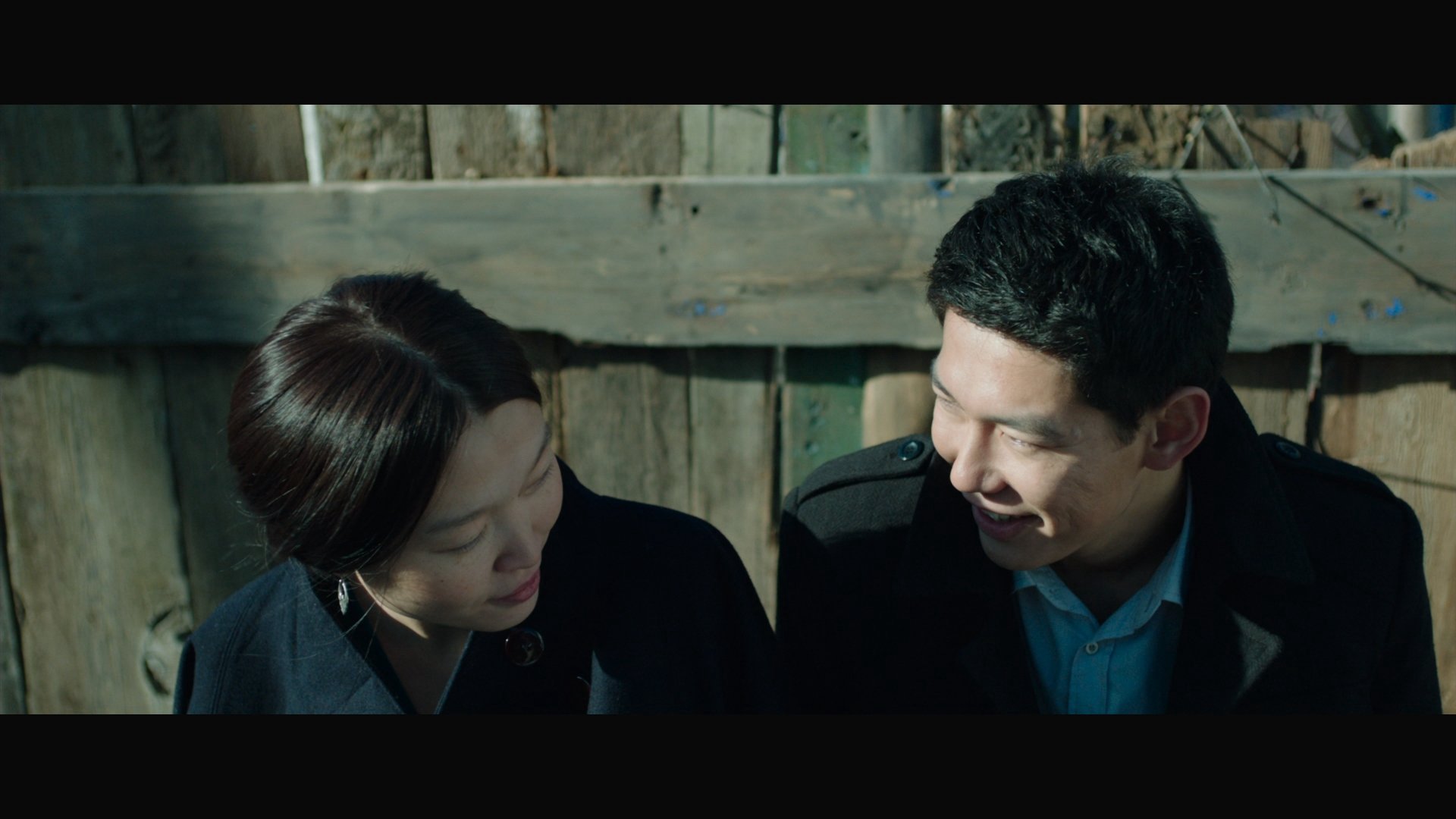 Những Con Mòng Biển Những Con Mòng Biển