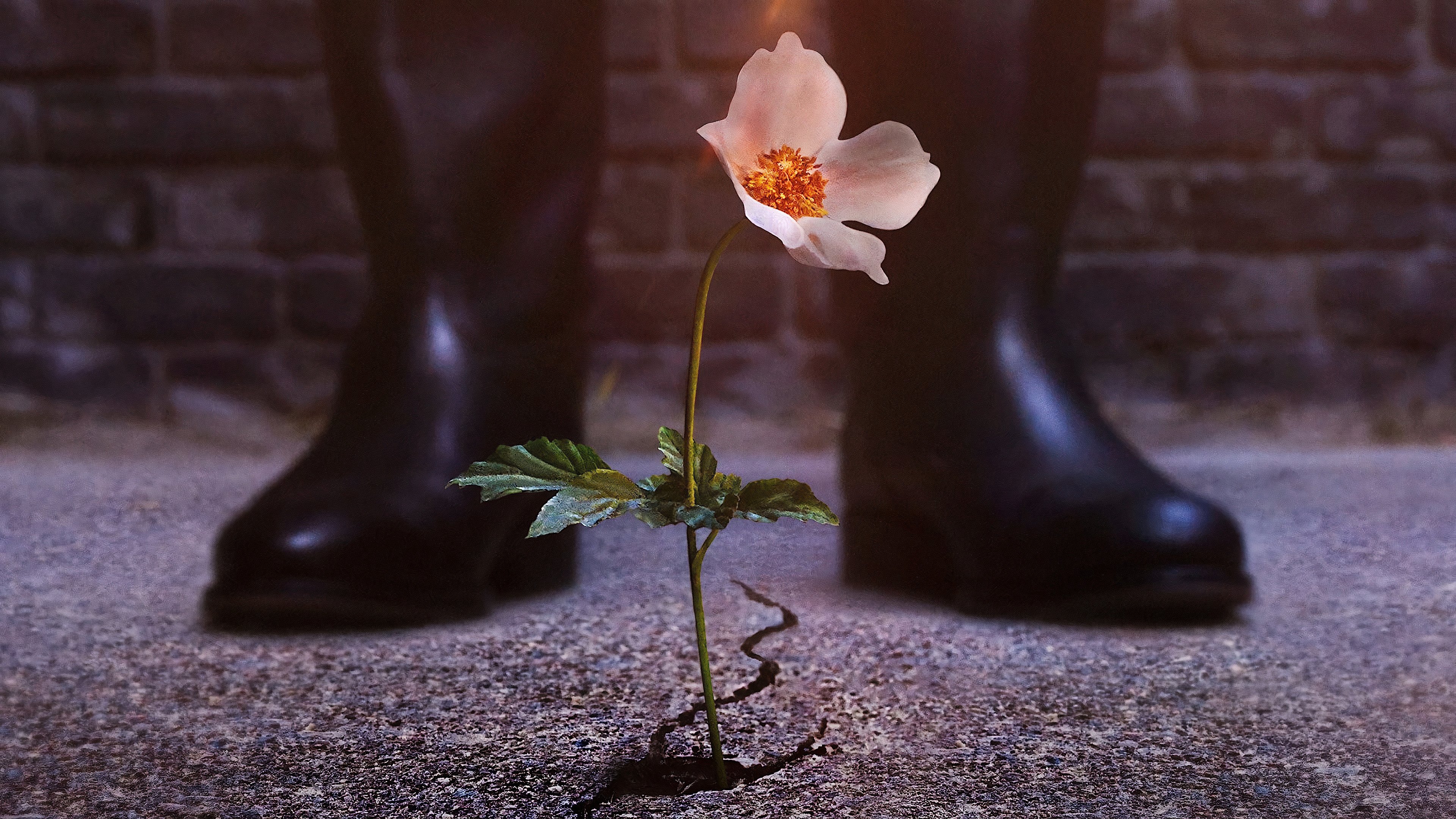 Thế Giới Của Phát Xít Thế Giới Của Phát Xít