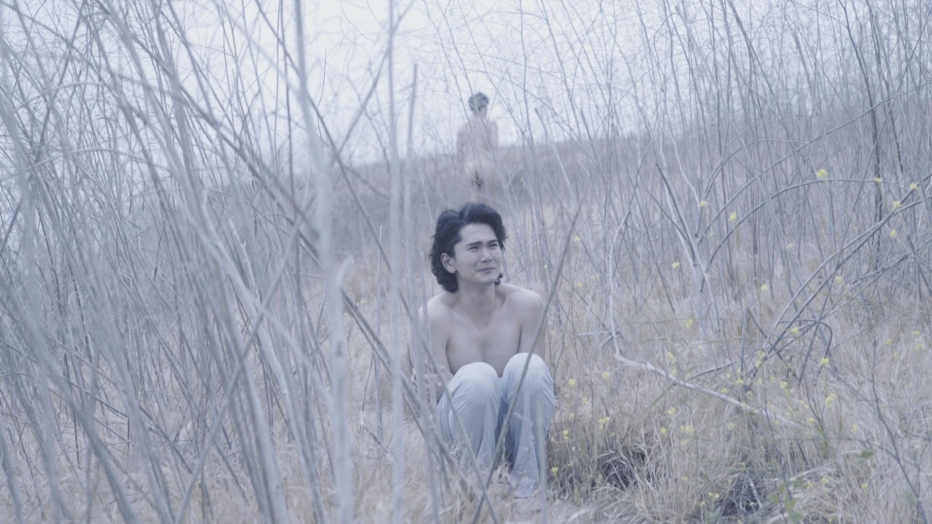 Không Lời Không Lời