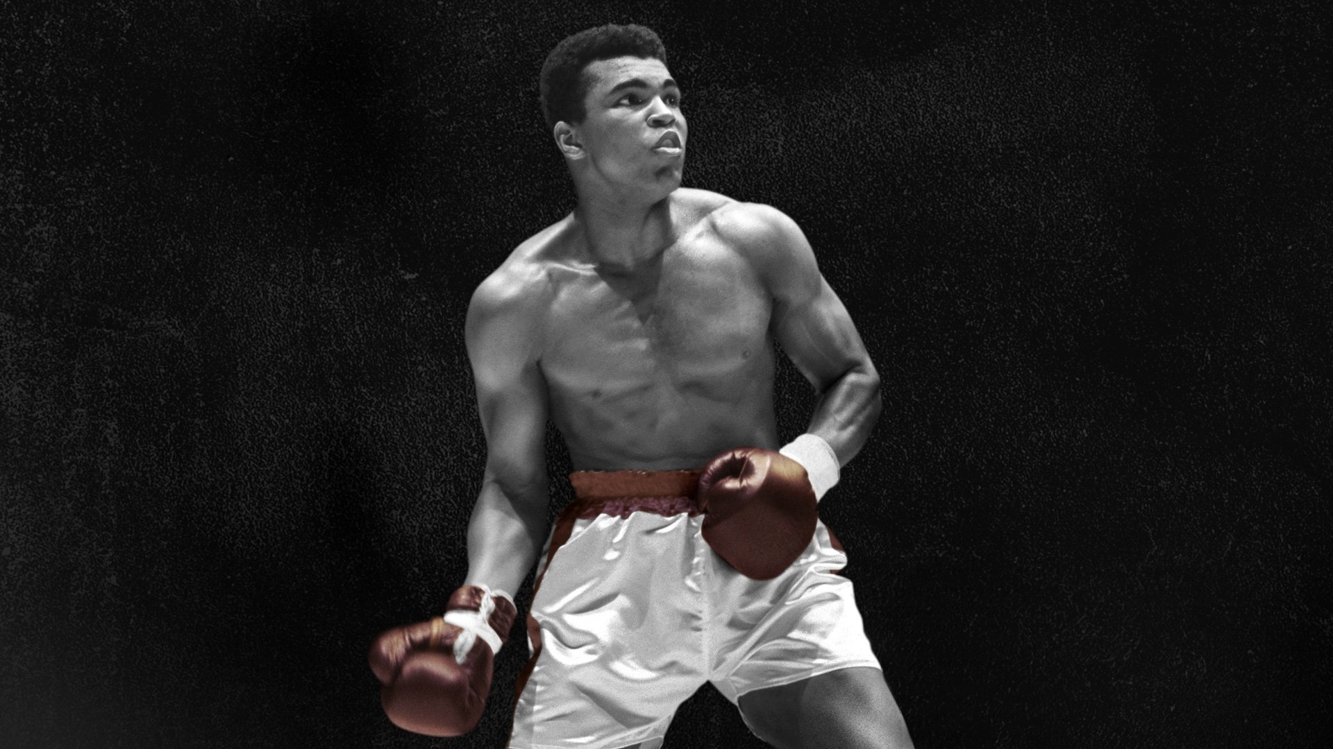 Tên Tôi Là Muhammad Ali Tên Tôi Là Muhammad Ali