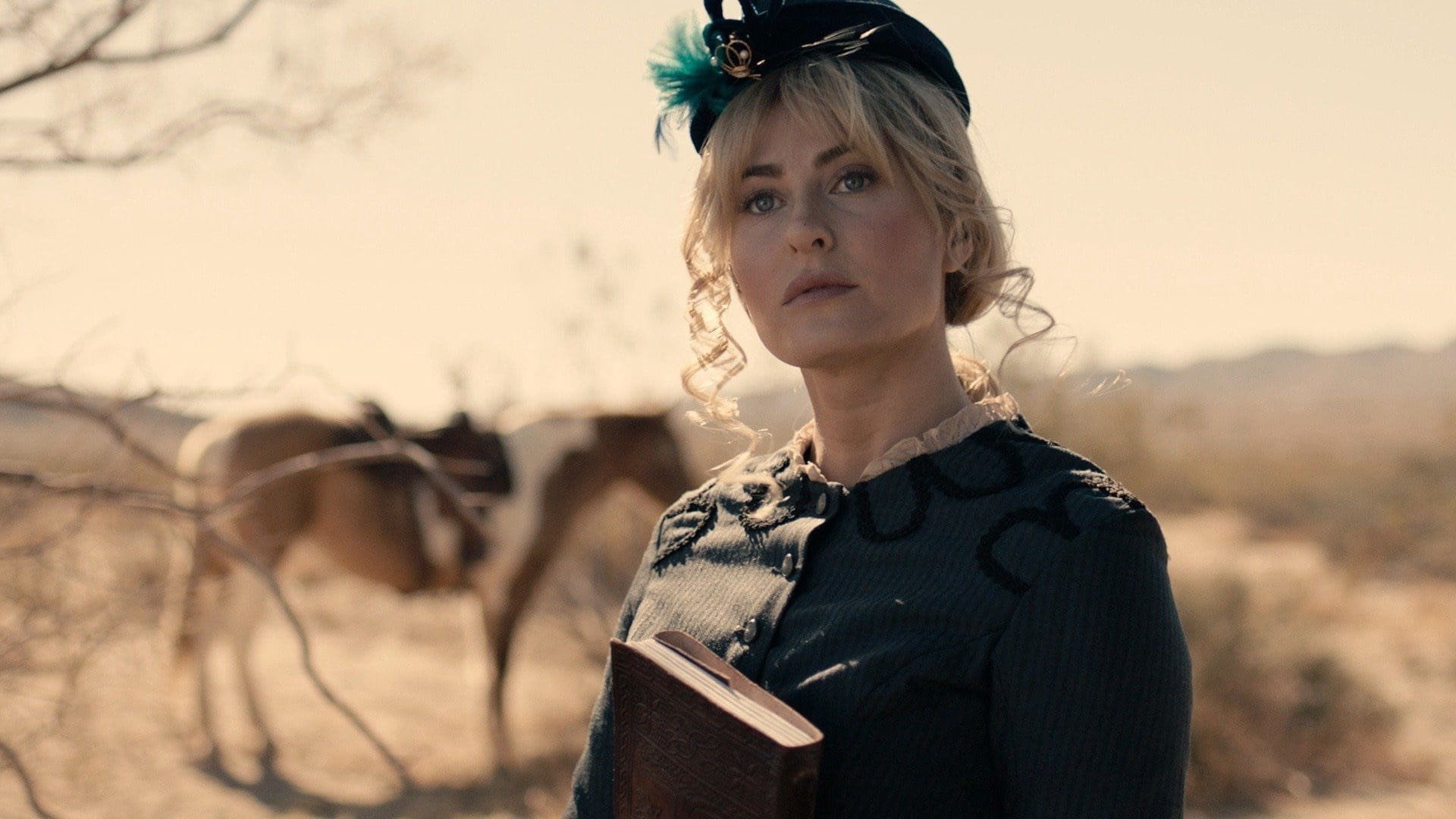 Thị Trấn Vô Pháp Thị Trấn Vô Pháp