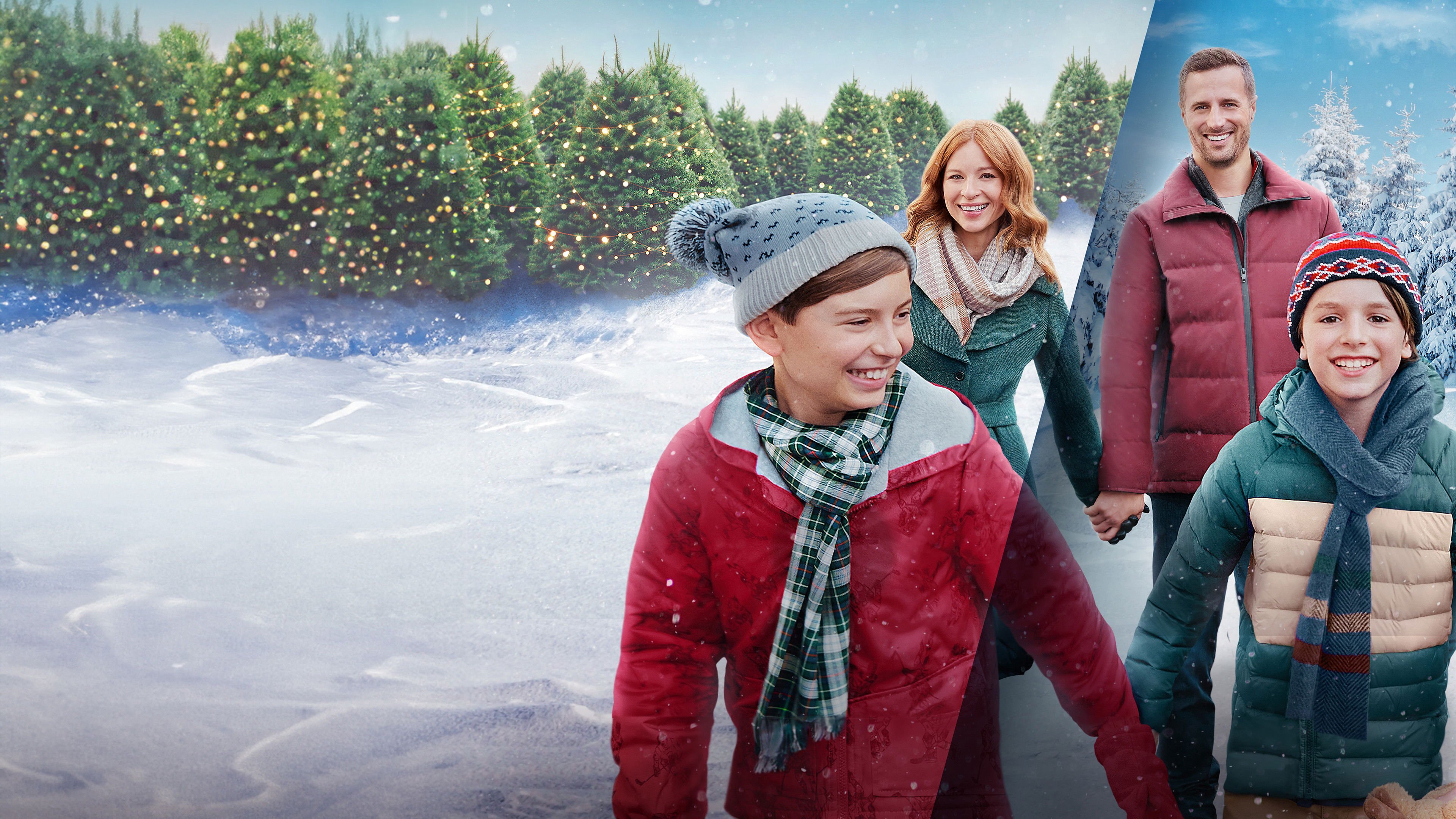 Giáng Sinh Đoàn Tụ Giáng Sinh Đoàn Tụ