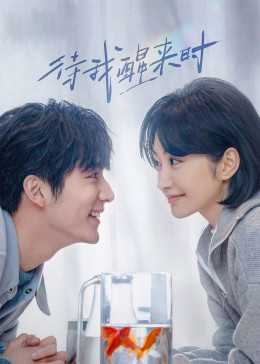 Đợi Khi Tôi Tỉnh Lại