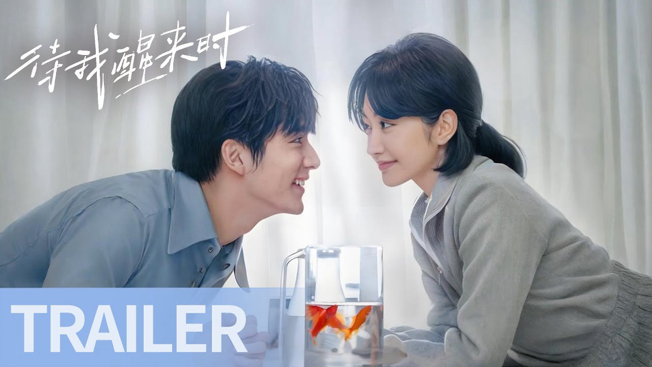 Đợi Khi Tôi Tỉnh Lại Đợi Khi Tôi Tỉnh Lại