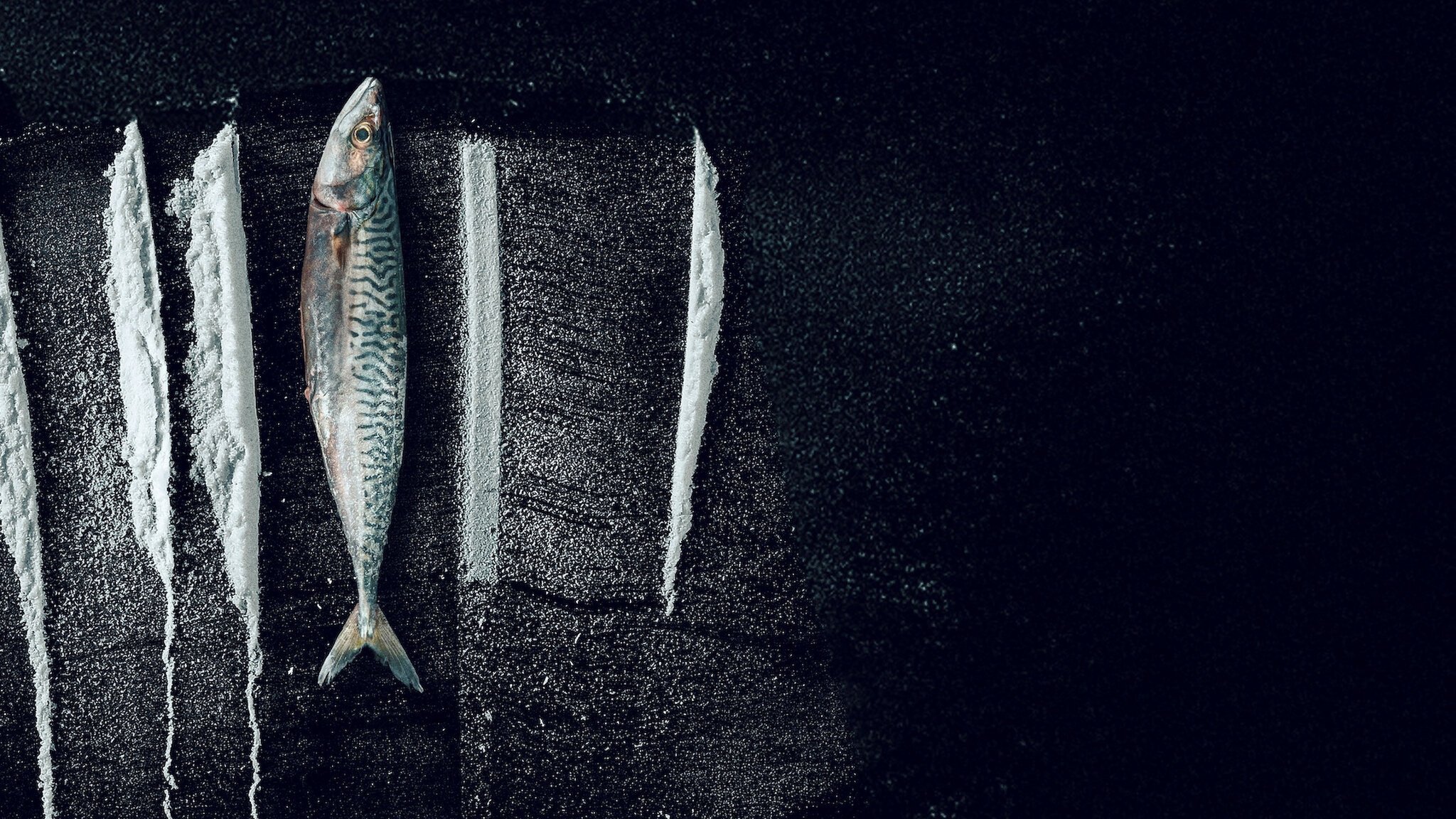 Sống Triều Đổi Vận: Câu Chuyện Siêu Thực Tế Rabo De Peixe Sống Triều Đổi Vận: Câu Chuyện Siêu Thực Tế Rabo De Peixe