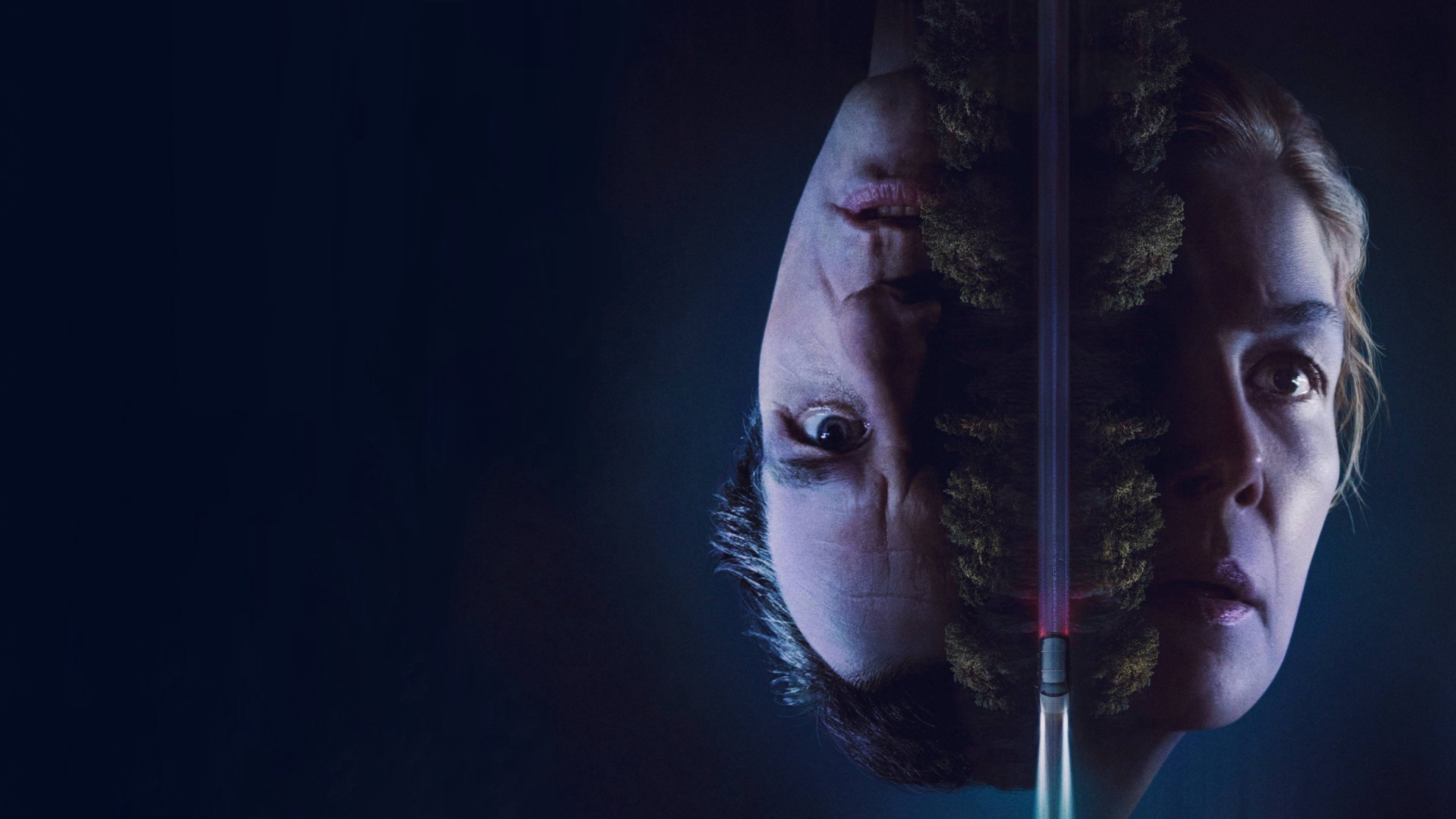 Con Đường Oan Nghiệt Con Đường Oan Nghiệt