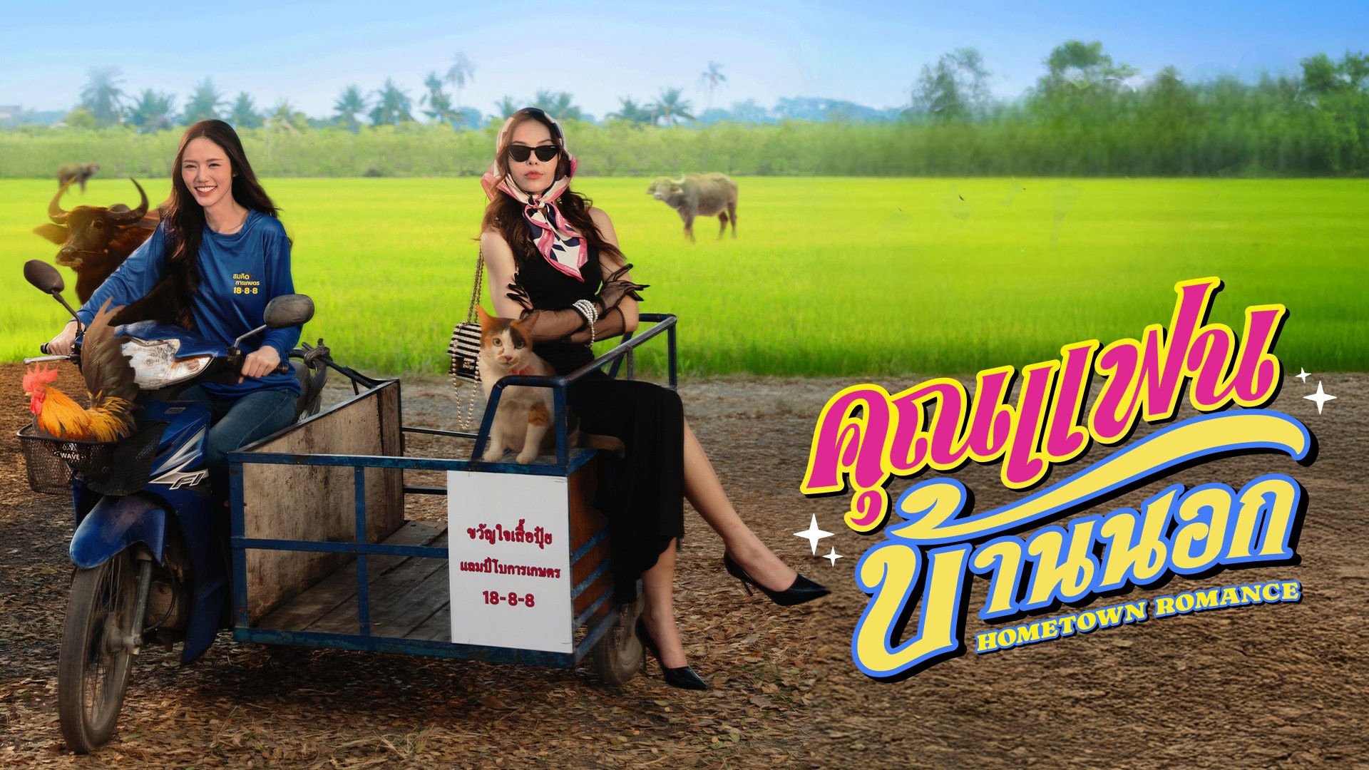 Người Yêu Miền Quê Người Yêu Miền Quê